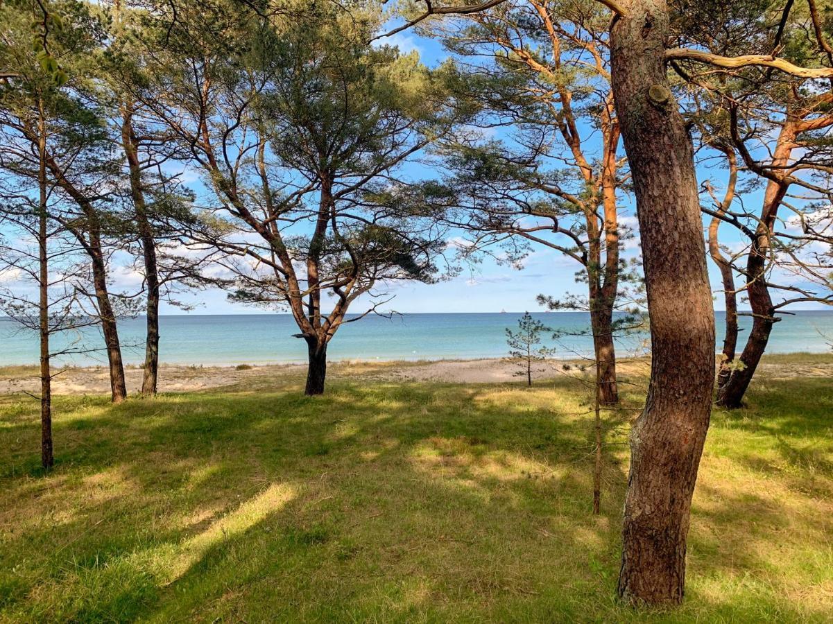 Duenenpark Binz - Wg 40 "Treibgut" Daire Dış mekan fotoğraf